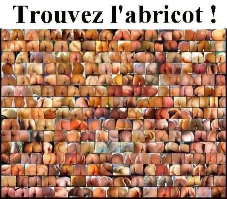 trouvez l'abricot!